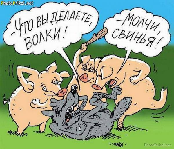 Свидомый ватник Свидомый ватник